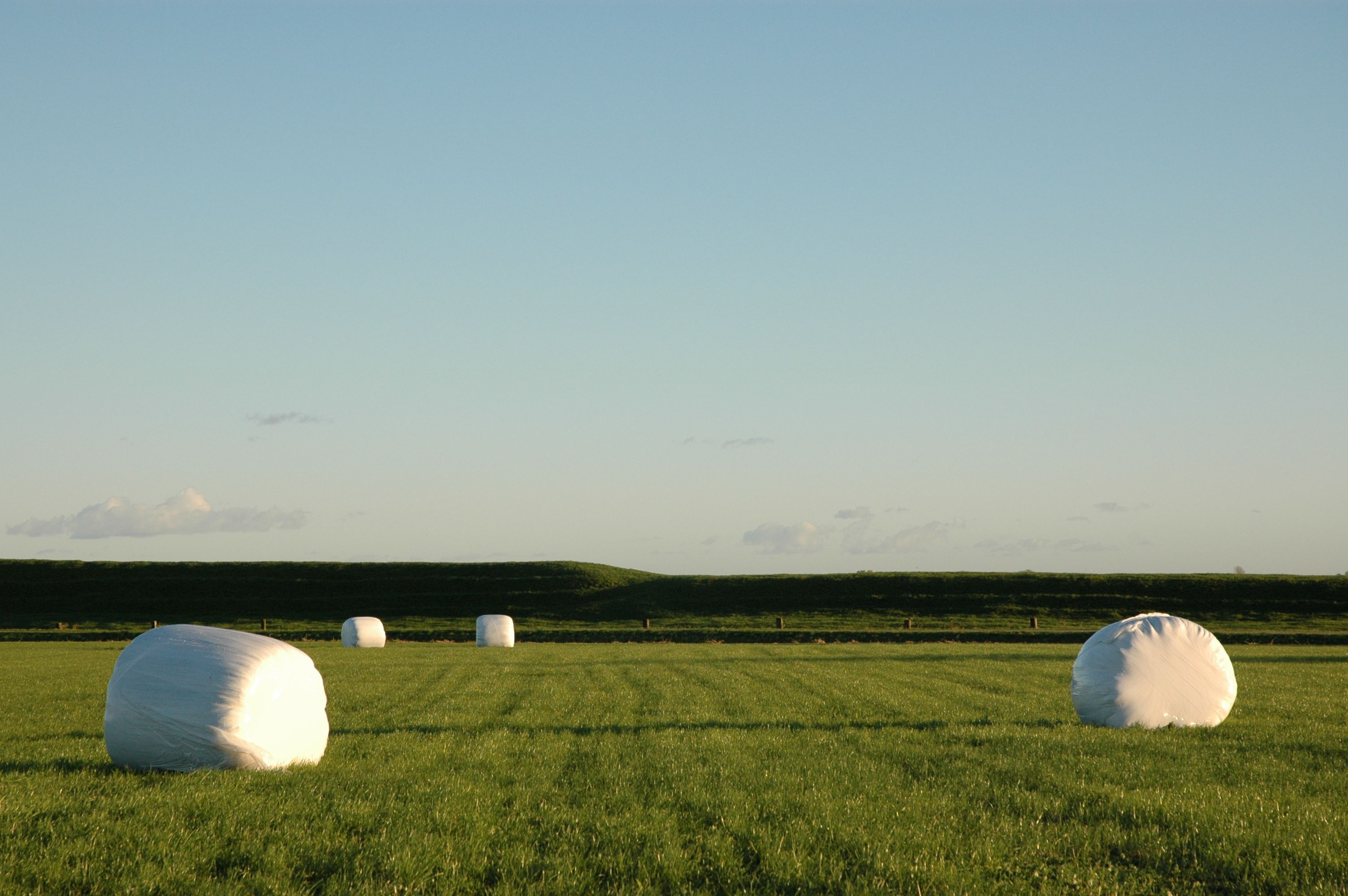 2022 NEW ECOLOGIES